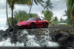 987-2-Porsche-718-Boxster-GTS-311