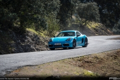 porsche-718-CAYMAN-t-379