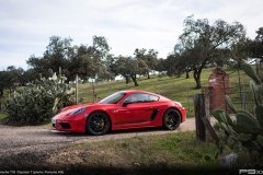 porsche-718-CAYMAN-t-390