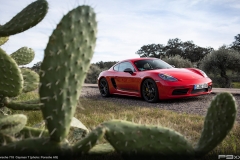 porsche-718-CAYMAN-t-391