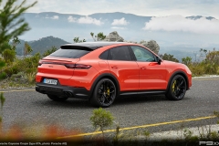 Porsche-Cayenne-Coupe-9YA-304