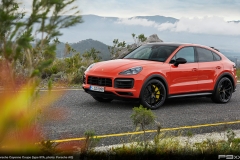 Porsche-Cayenne-Coupe-9YA-305