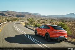 Porsche-Cayenne-Coupe-9YA-308