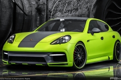 Regula Panamera (970.2)