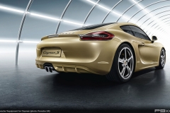 Porsche Tequipment for Cayman (981)